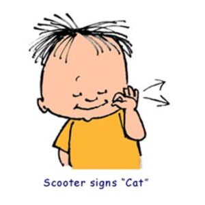 Scooter signs "Cat"