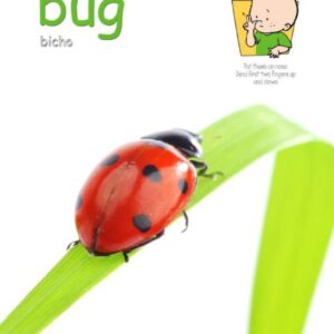 Bug poster