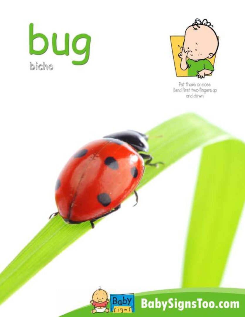 Bug poster