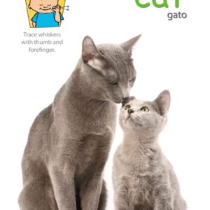 A captivating Animal Signs Poster Pack featuring an adorable picture of a cat and a baby, alongside the word "cat" in both English and Spanish ("gato").