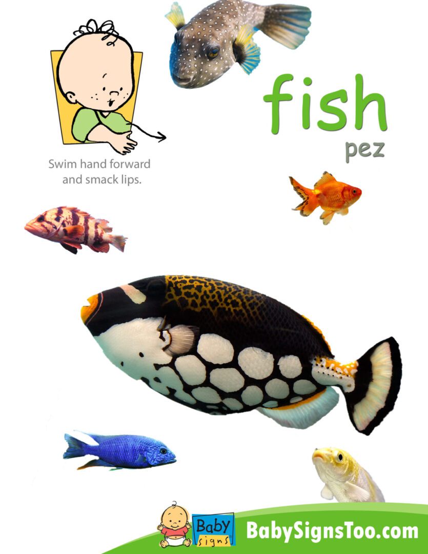 Pet Signs Poster Pack featuring fish and zoo animals.