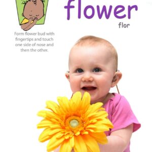 flower poster
