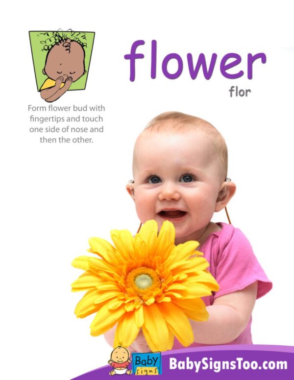 flower poster