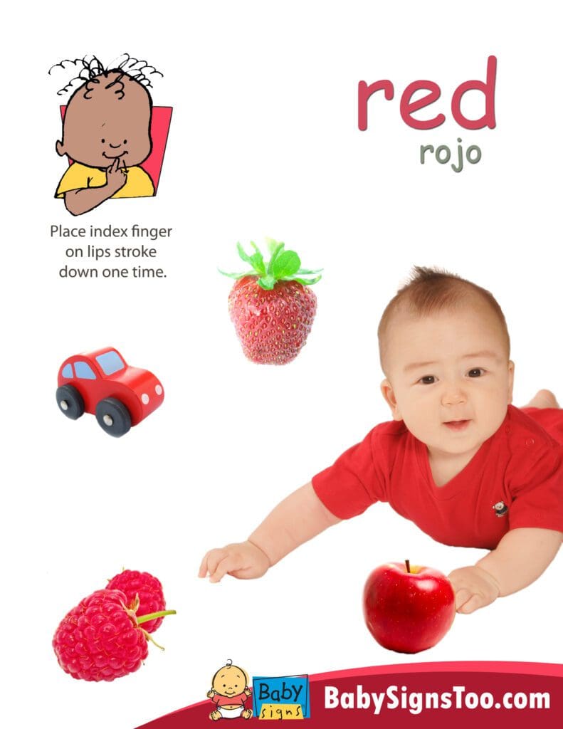 Baby Signs® Color Signs Poster Pack - Baby Signs®