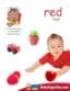 Color Signs Poster Pack - Baby Signs®