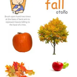 Fall