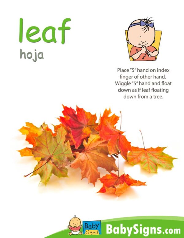 Fall/Autumn Signs Poster Pack - baby signs - sign language poster - Fall/Autumn Signs Poster Pack.