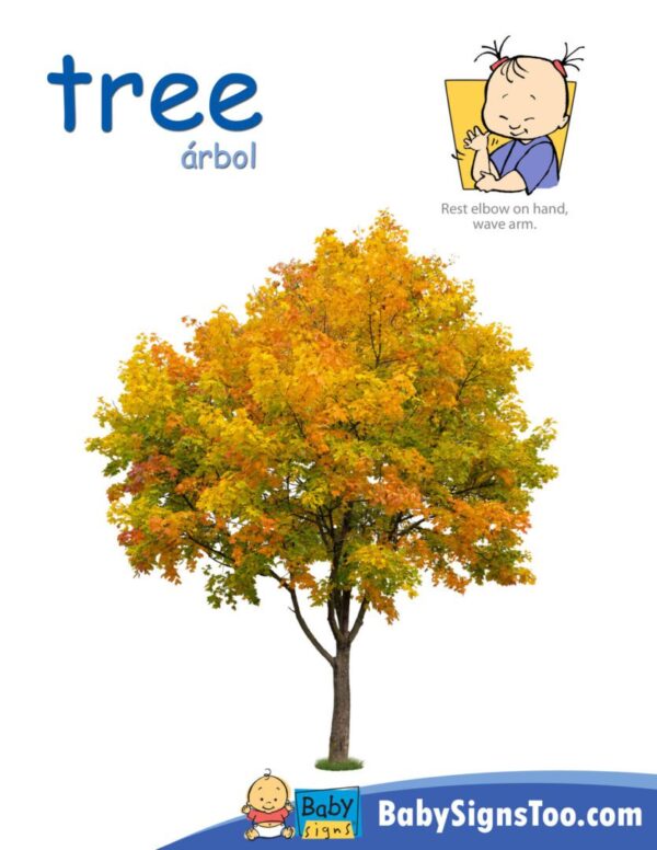 A picture of a tree with a baby in front of it, alongside the Fall/Autumn Signs Poster Pack.