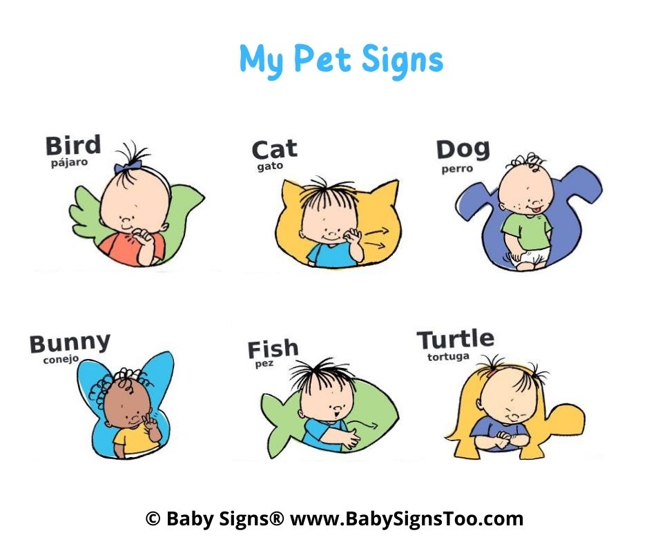 Pet Signs