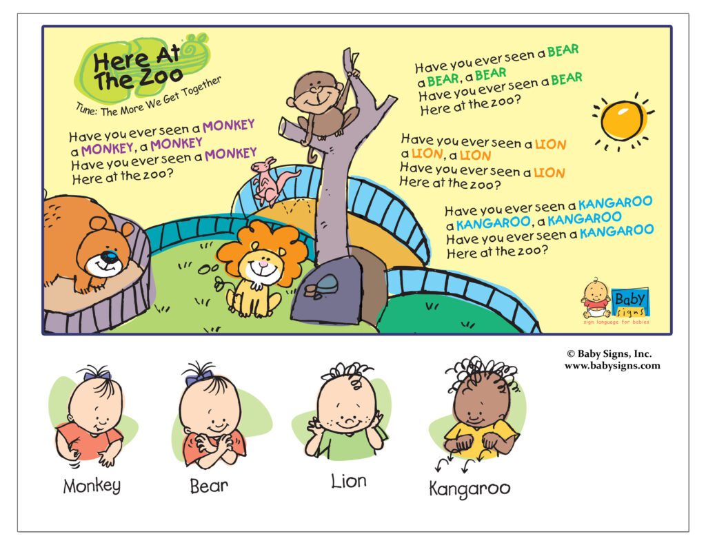 Here at the Zoo song lyrics