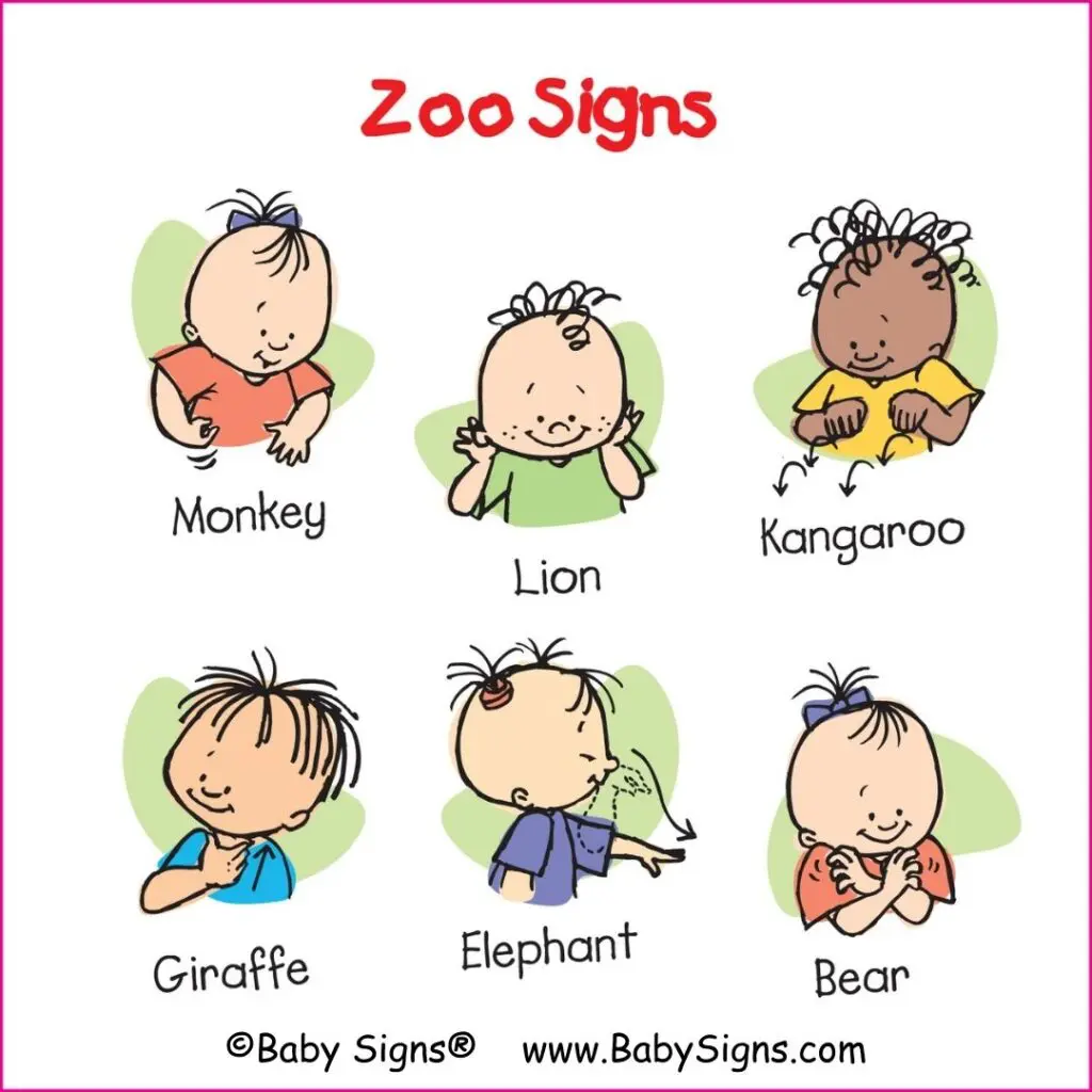 Zoo Signs