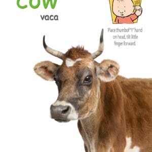 Cow poster