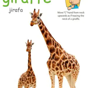 Giraffe Poster