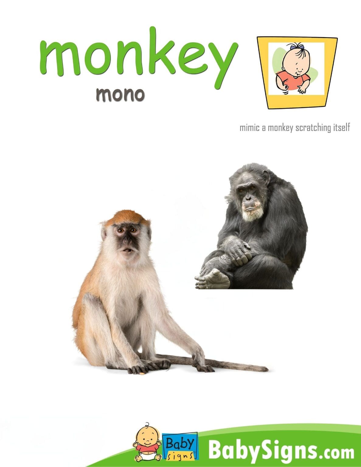 Zoo Animal Signs Poster Pack - Baby Signs®