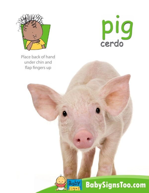 Pig poster