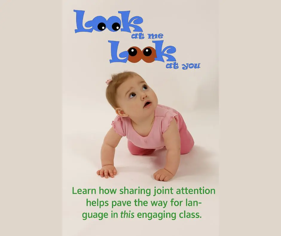 Look at Me Look at Me