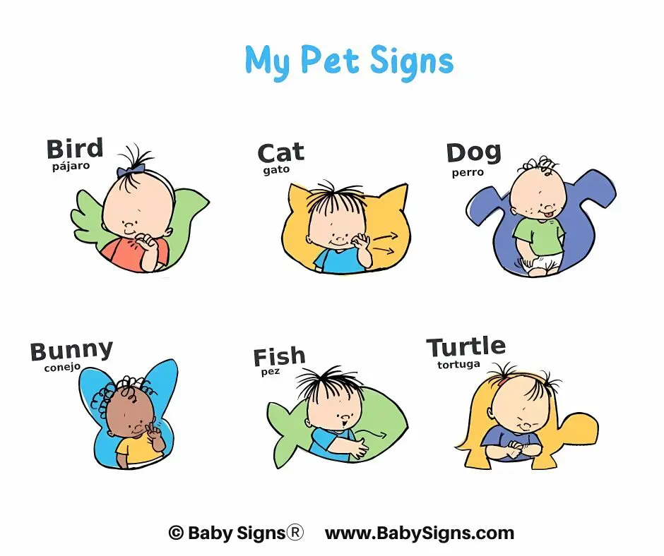 My Pet Signs – Baby Signs® Visual Chart for Common Pets Colorful cartoon-style graphic featuring babies demonstrating signs for common pets: Bird, Cat, Dog, Bunny, Fish, and Turtle, each labeled in English and Spanish.