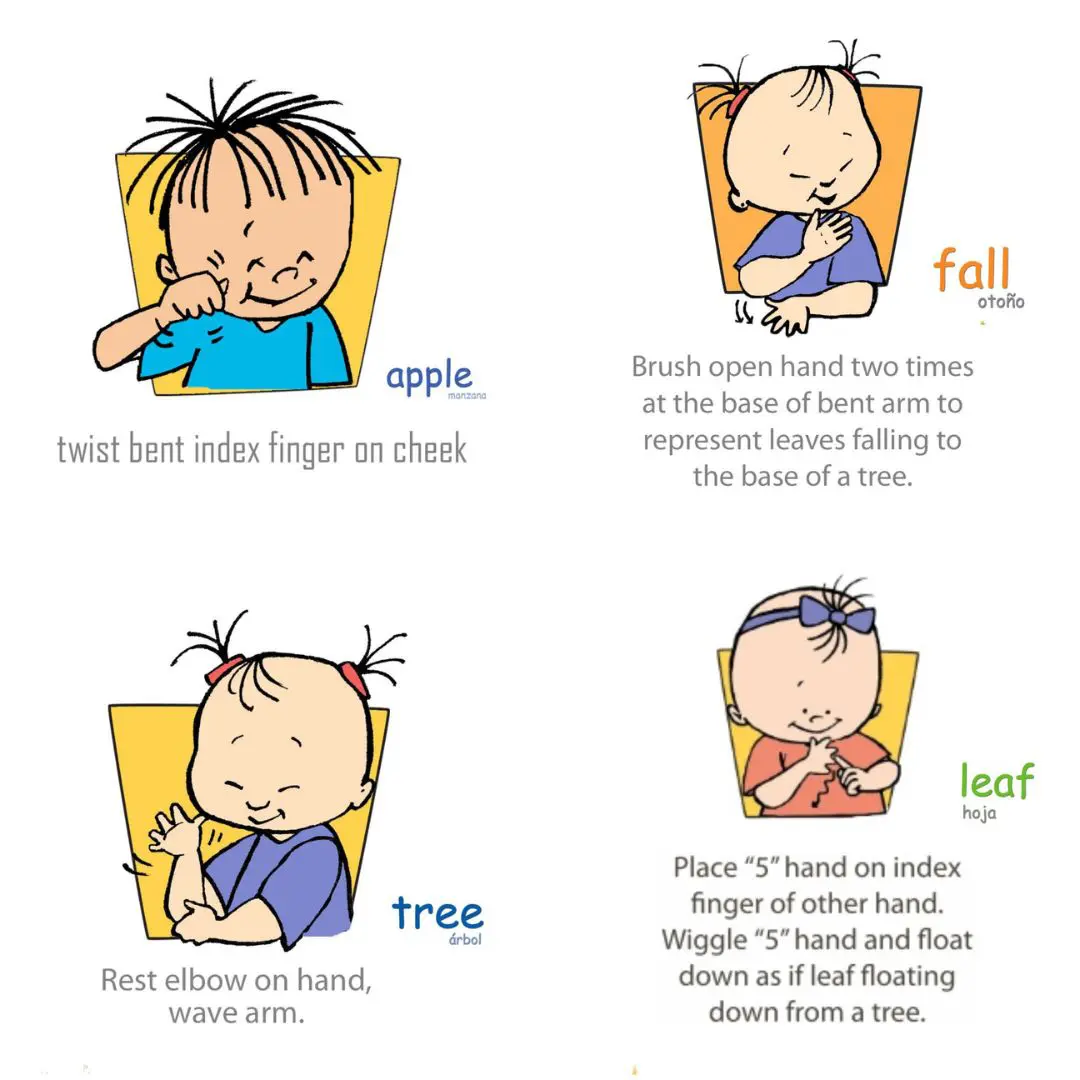 fall-signs-apple-leaf-tree-baby-sign-language.jpg Illustrations of signs for apple, fall, tree, and leaf with children demonstrating Baby Signs® and bilingual labels.