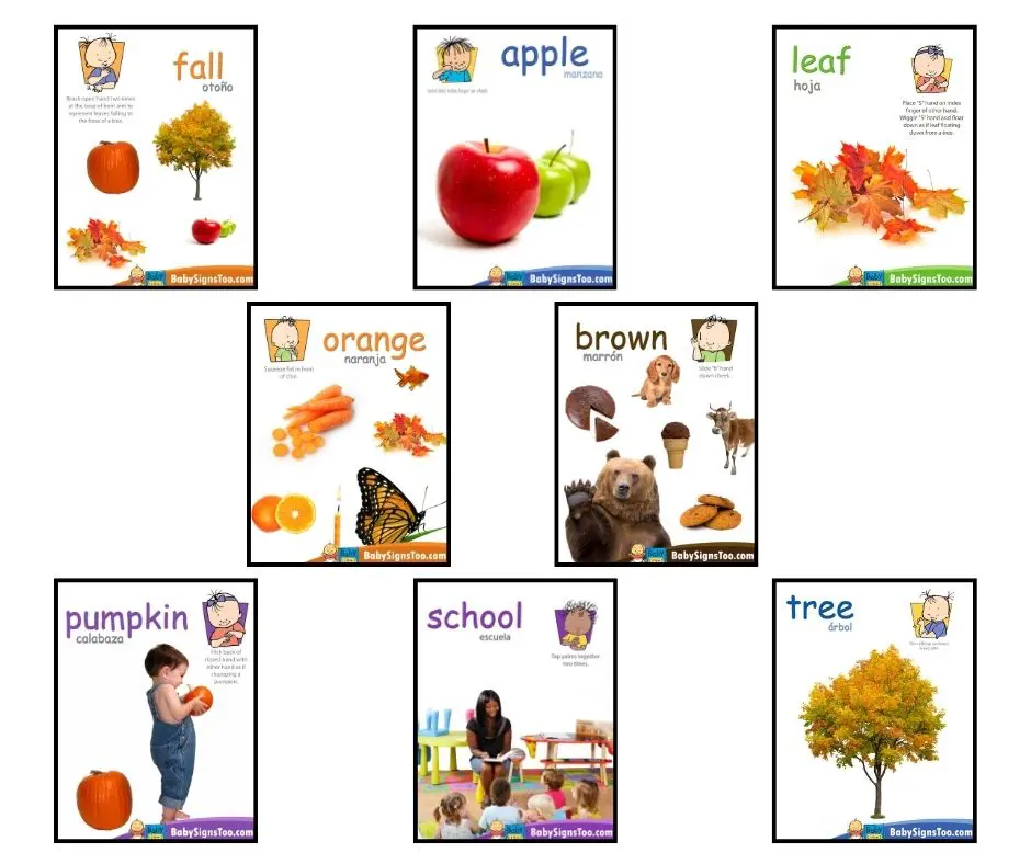 fall-signs-poster-pack-baby-sign-language.jpg Preview of Baby Signs® Fall Poster Pack with signs for fall, apple, leaf, tree, pumpkin, orange, brown, and school.