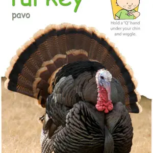 Baby learning the sign for TURKEY from the Baby Signs® Thanksgiving Poster Pack