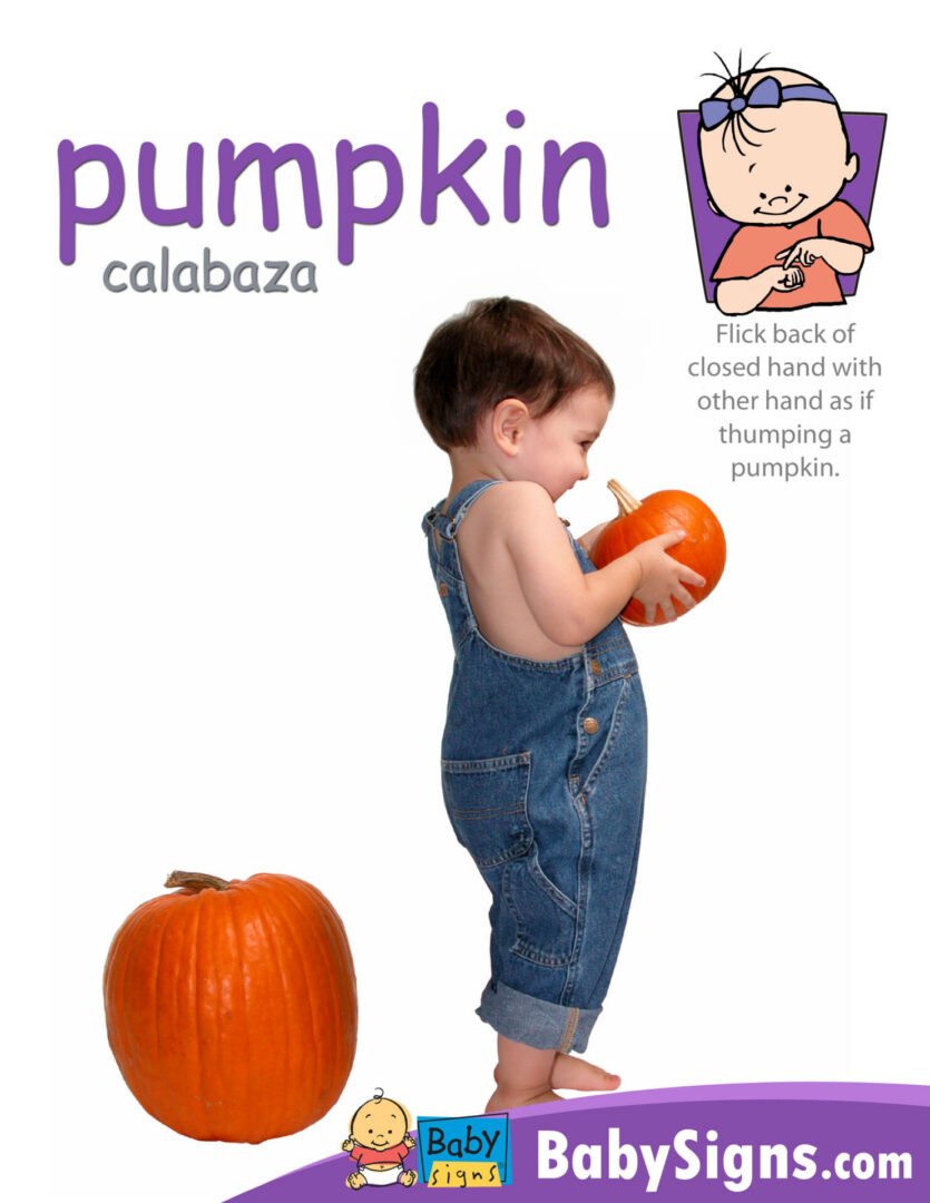 Baby Signs® PUMPKIN sign poster with Spanish translation calabaza, illustrated signing instructions, and a toddler holding a pumpkin.