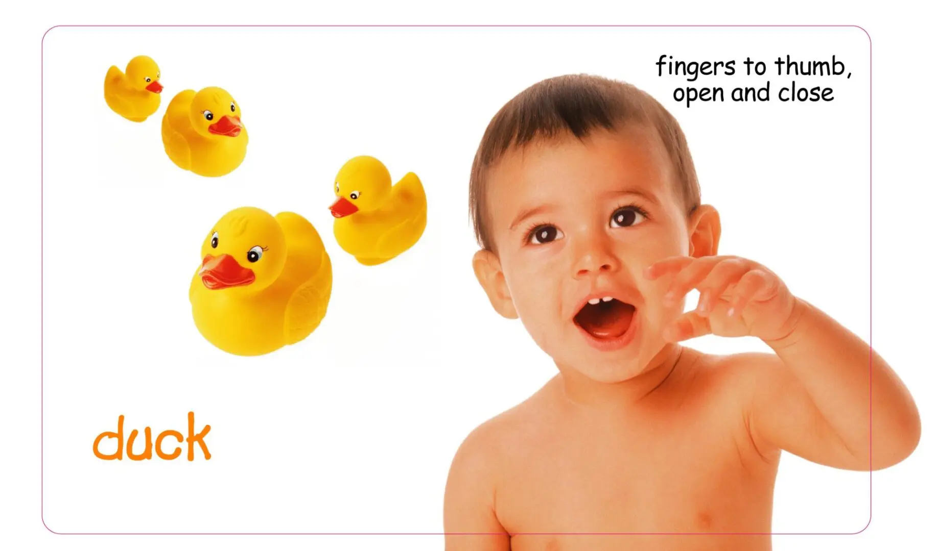 Inside page of the Baby Signs® for Animals board book showing the sign for “duck,” with a baby demonstrating the gesture and rubber duck illustrations.